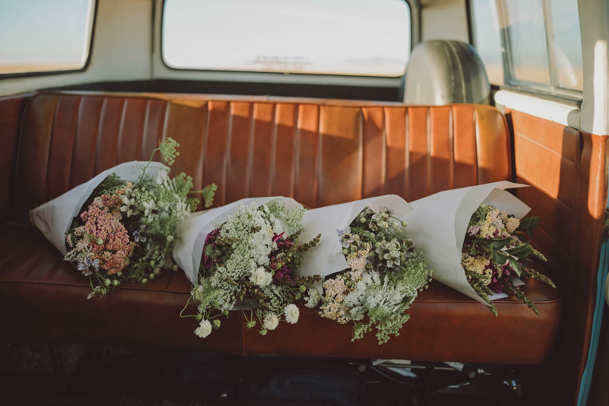 Salt & Soil gallery image